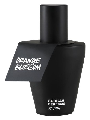 Orange Blossom