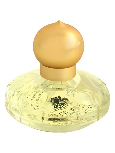 Casmir Fragrance Festival White
