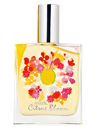 mark Citrus Bloom