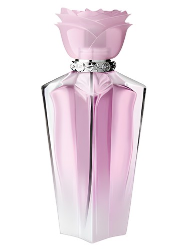 Wild Rose