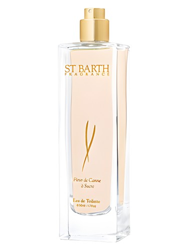 Fleur de Canne a Sucre