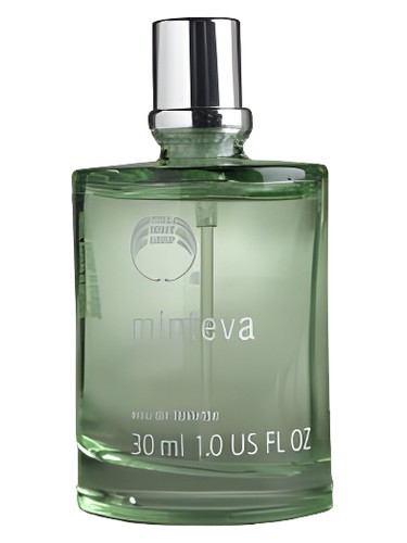 Minteva