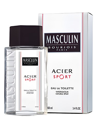 Masculin Acier Sport