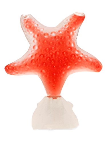 Star Red Pasion