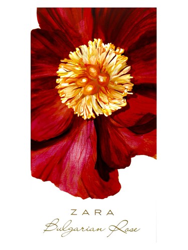 Bulgarian Rose