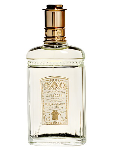 1853 Lady