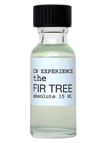 The Fir Tree