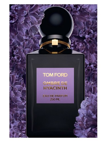 Ombre de Hyacinth