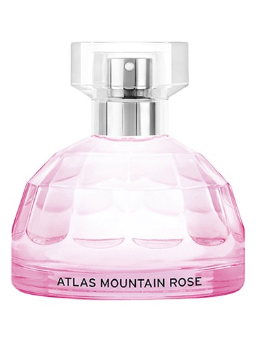 Atlas Mountain Rose