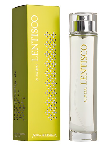 Lentisco
