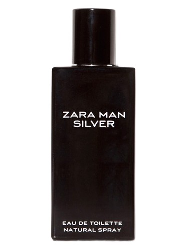 Zara Man Silver