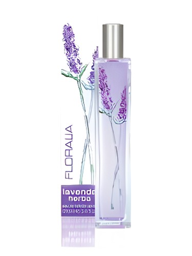 Lavenda Herba