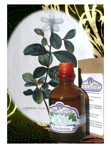 Gardenia