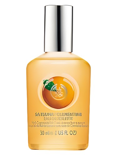 Satsuma
