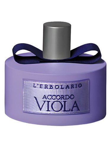 Accordo Viola