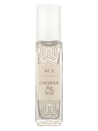 Coconut Fig Leaf