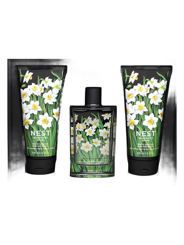 White Narcisse