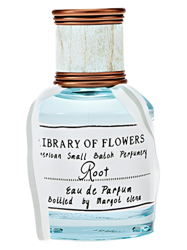 Root