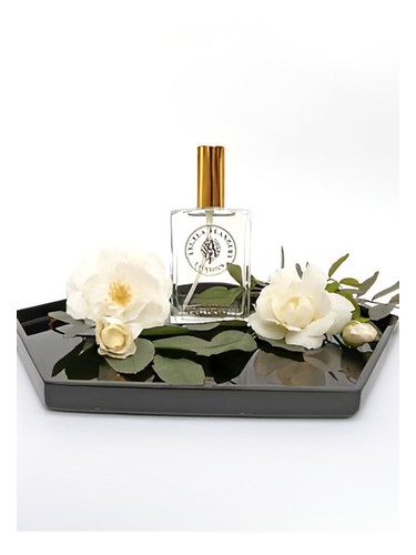 White Roses