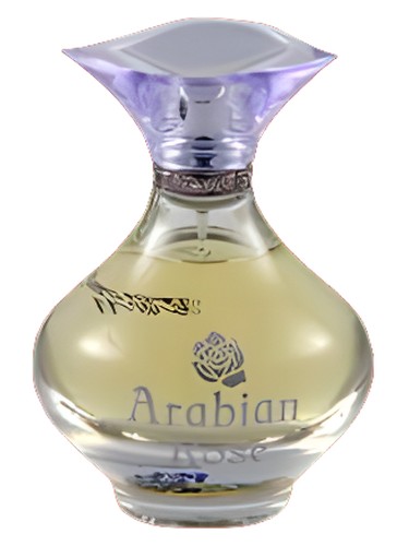 Arabian Rose