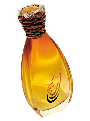 Areej