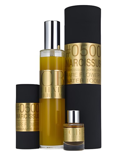 Narcissus