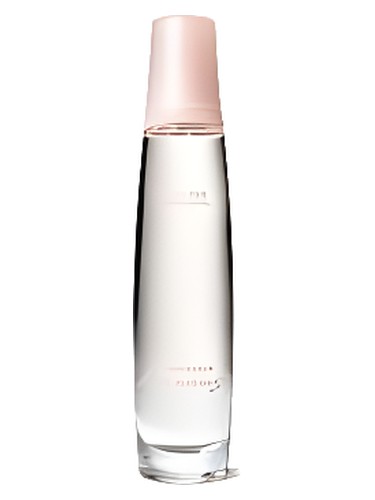 Private Spa Collection - Embrace Dreams