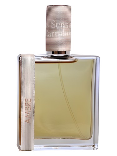 Ambre