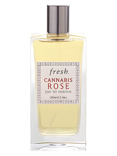 Cannabis Rose