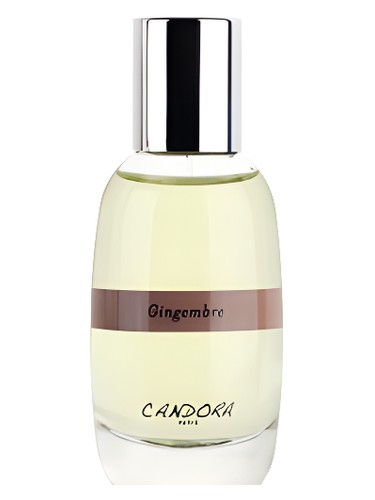 Gingembre