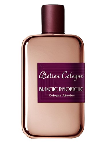Blanche Immortelle