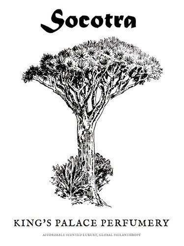Socotra
