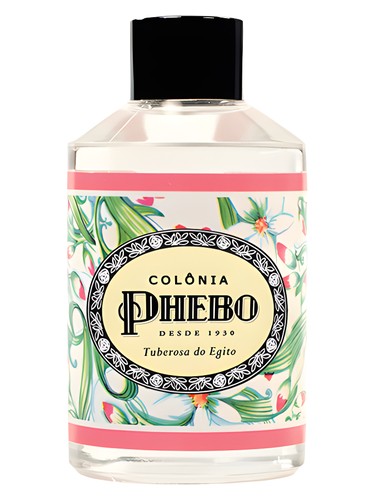 Tuberosa do Egito