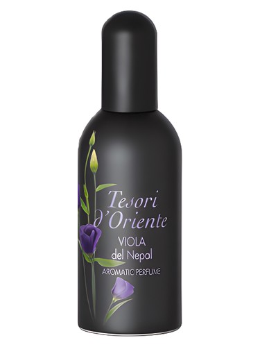 Viola del Nepal