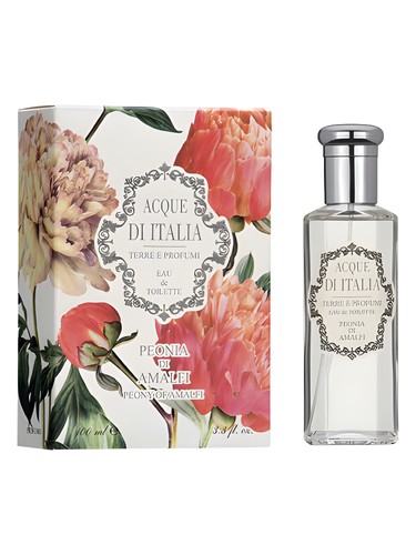Peonia di Amalfi