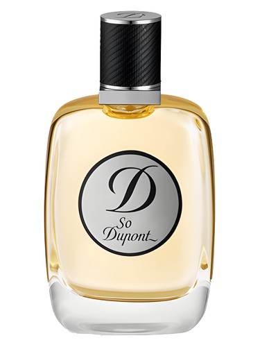 So Dupont Pour Homme