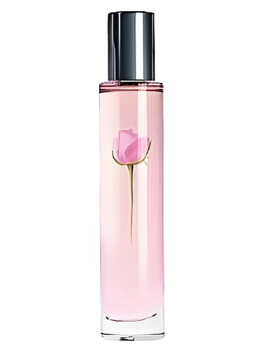 Sheer Rose