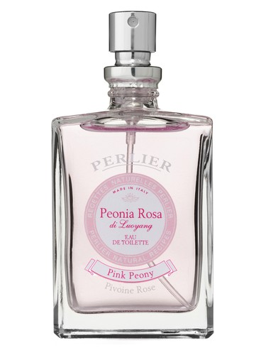 Peonia Rosa