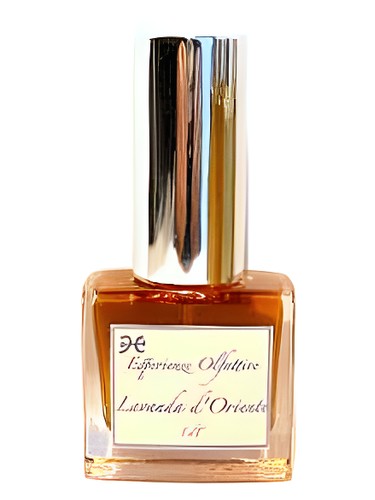 Lavanda d'Oriente