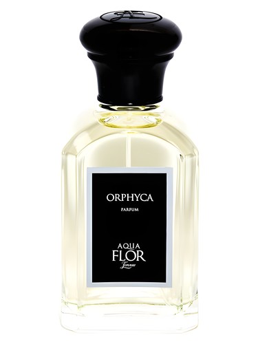 Orphyca