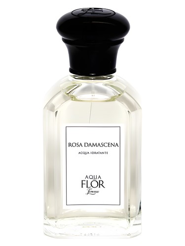 Rosa Damascena