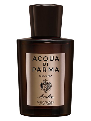 Colonia Ambra