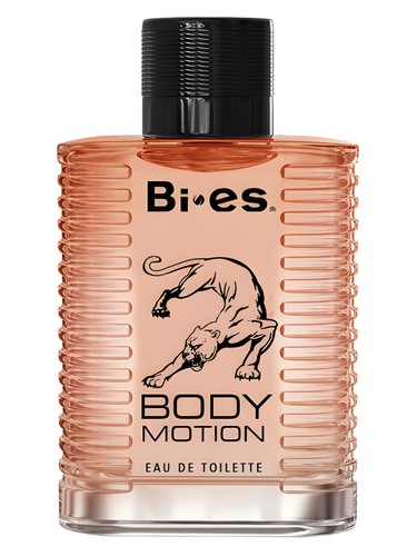 Body Motion