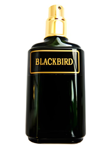Blackbird