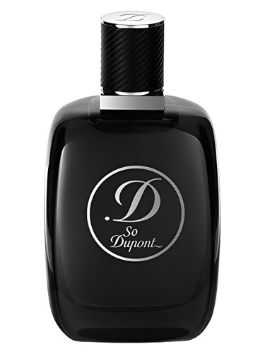 So Dupont Paris by Night pour Homme