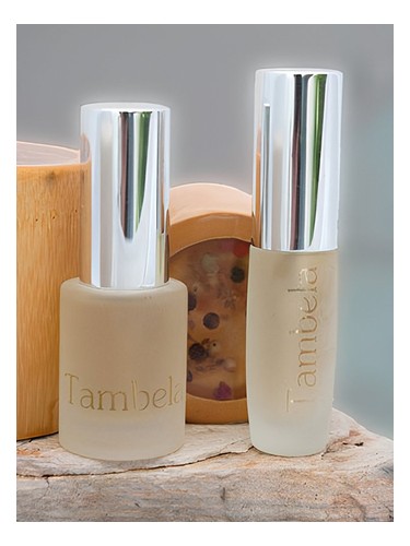 ambre alchemé