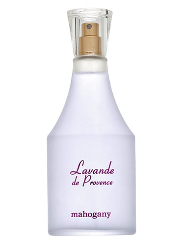 Lavande de Provence