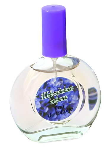 Persian Lilac Персидская Сирень