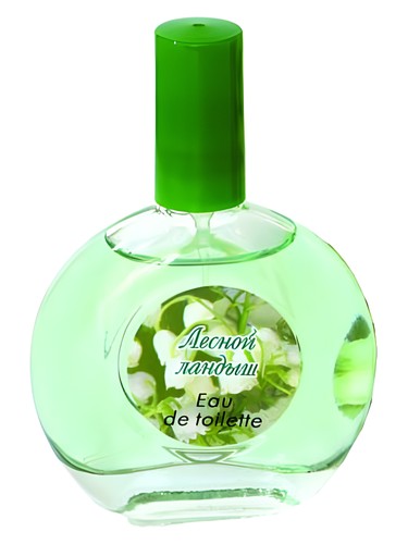 Forest Lily-of-the-Valley Лесной Ландыш