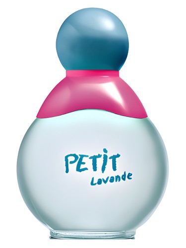 Petit Lavande